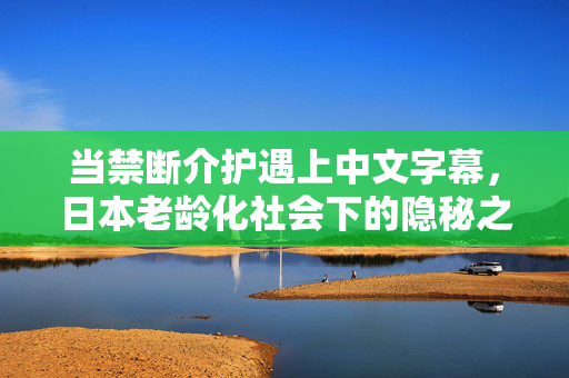当禁断介护遇上中文字幕，日本老龄化社会下的隐秘之痛与跨文化传播，当禁断介护遇上中文字幕，日本老龄化社会的隐秘之痛与跨文化传播