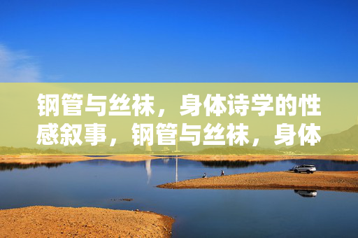 钢管与丝袜,身体诗学的性感叙事,钢管与丝袜,身体诗学的性感叙事 钢管与丝袜,身体诗学的性感叙事,钢管与丝袜,身体诗学的性感叙事