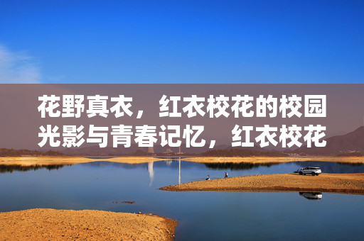 花野真衣,红衣校花的校园光影与青春记忆,红衣校花花野真衣,校园光影里的青春记忆 花野真衣,红衣校花的校园光影与青春记忆,红衣校花花野真衣,校园光影里的青春记忆