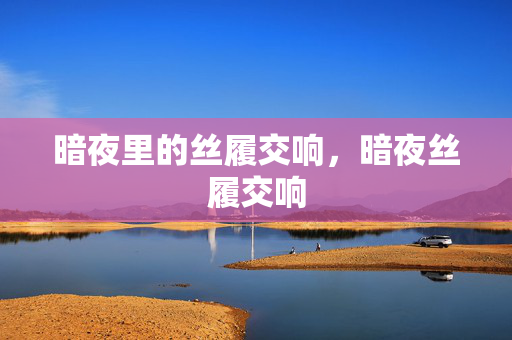 暗夜里的丝履交响,暗夜丝履交响 暗夜里的丝履交响,暗夜丝履交响