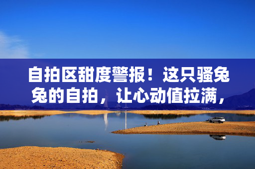 自拍区甜度警报!这只骚兔兔的自拍,让心动值拉满,骚兔兔自拍甜度警报,心动值瞬间拉满 自拍区甜度警报!这只骚兔兔的自拍,让心动值拉满,骚兔兔自拍甜度警报,心动值瞬间拉满