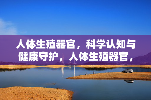人体生殖器官,科学认知与健康守护,人体生殖器官,科学认知与健康守护 人体生殖器官,科学认知与健康守护,人体生殖器官,科学认知与健康守护