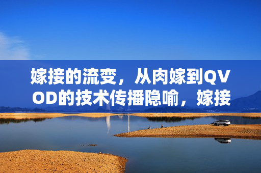 嫁接的流变,从肉嫁到QVOD的技术传播隐喻,嫁接的流变,从肉嫁到QVOD的技术传播隐喻 嫁接的流变,从肉嫁到QVOD的技术传播隐喻,嫁接的流变,从肉嫁到QVOD的技术传播隐喻