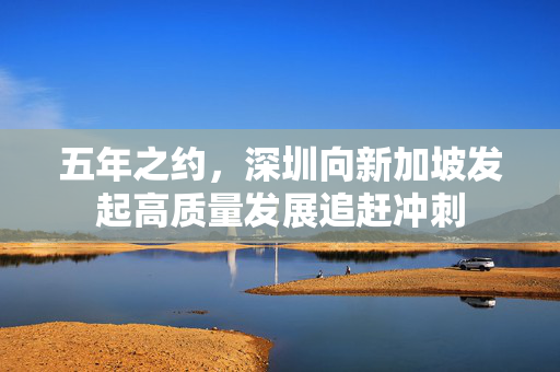 五年之约,深圳向新加坡发起高质量发展追赶冲刺 五年之约,深圳向新加坡发起高质量发展追赶冲刺