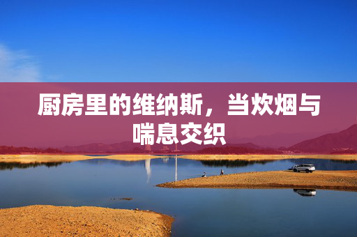 厨房里的维纳斯,当炊烟与喘息交织 厨房里的维纳斯,当炊烟与喘息交织