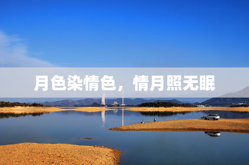月色染情色，情月照无眠