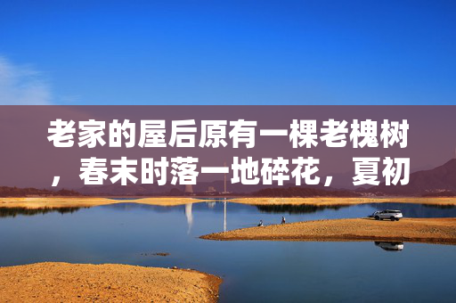 老家的屋后原有一棵老槐树，春末时落一地碎花，夏初时筛一地浓荫。我总爱蹲在槐树下数蚂蚁，直到听见姑在院子里喊，囡囡，回来喝绿豆汤！那声音像浸了槐花蜜，甜丝丝地漫过篱笆，裹着风里的暑气，扑到我脸上，槐荫下的甜囡囡