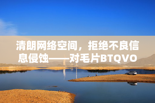 清朗网络空间，拒绝不良信息侵蚀——对毛片BTQVOD等非法内容的警示，侵蚀，共建清朗网络空间