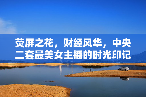 荧屏之花，财经风华，中央二套最美女主播的时光印记，荧屏财经花影，中央二套最美女主播的时光印记
