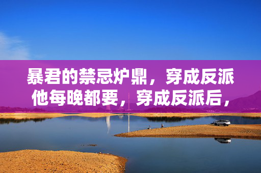 暴君的禁忌炉鼎，穿成反派他每晚都要，穿成反派后，暴君每晚都要我当炉鼎