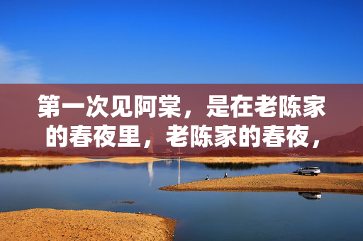第一次见阿棠，是在老陈家的春夜里，老陈家的春夜，初见阿棠