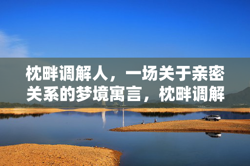 枕畔调解人，一场关于亲密关系的梦境寓言，枕畔调解人，亲密关系的梦境寓言