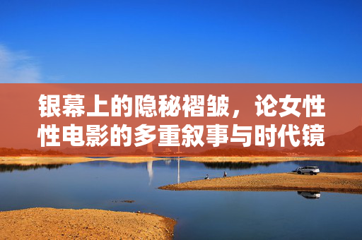 银幕上的隐秘褶皱，论女性性电影的多重叙事与时代镜像，银幕隐褶，女性性电影的多重叙事与时代镜像