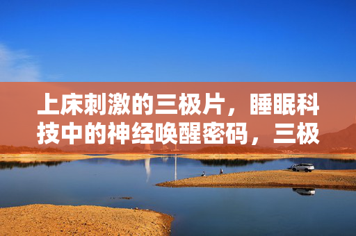 上床刺激的三极片，睡眠科技中的神经唤醒密码，三极片，睡眠科技中的神经唤醒密码