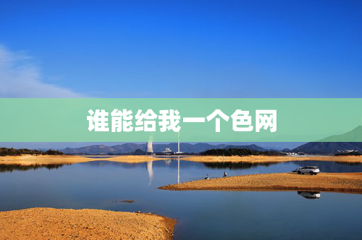 谁能给我一个色网