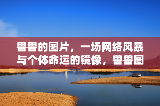 兽兽的图片，一场网络风暴与个体命运的镜像，兽兽图片，网络风暴中的个体命运镜像