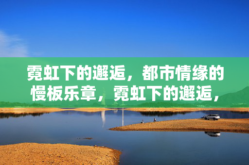 霓虹下的邂逅，都市情缘的慢板乐章，霓虹下的邂逅，都市情缘慢板乐章