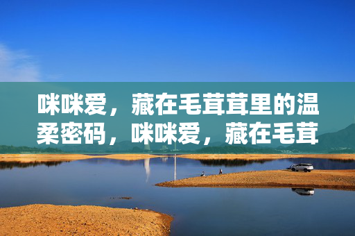 咪咪爱，藏在毛茸茸里的温柔密码，咪咪爱，藏在毛茸茸里的温柔密码