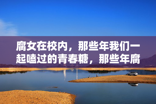 腐女在校内，那些年我们一起嗑过的青春糖，那些年腐女的校内青春糖
