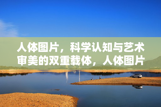 人体图片，科学认知与艺术审美的双重载体，人体图片，科学认知与艺术审美的双重载体
