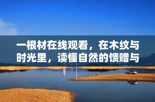 一根材在线观看，在木纹与时光里，读懂自然的馈赠与匠心的温度，木纹时光，自然的馈赠与匠心的温度