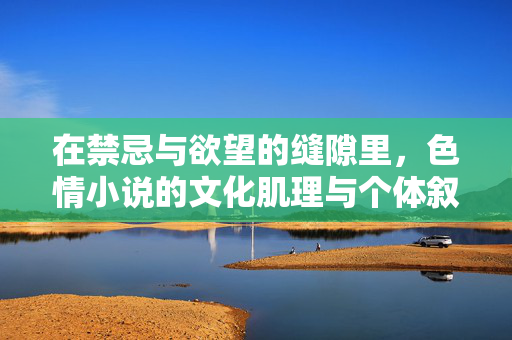 在禁忌与欲望的缝隙里，色情小说的文化肌理与个体叙事，禁忌与欲望的缝隙，色情小说的文化肌理与个体叙事