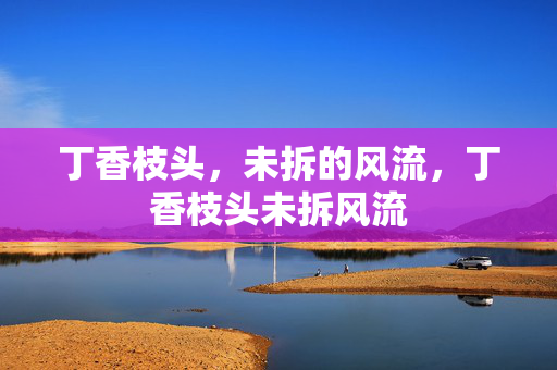 丁香枝头,未拆的风流,丁香枝头未拆风流 丁香枝头,未拆的风流,丁香枝头未拆风流