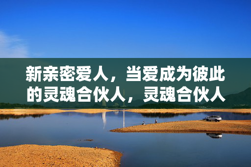 新亲密爱人,当爱成为彼此的灵魂合伙人,灵魂合伙人,新亲密爱人的内核 新亲密爱人,当爱成为彼此的灵魂合伙人,灵魂合伙人,新亲密爱人的内核