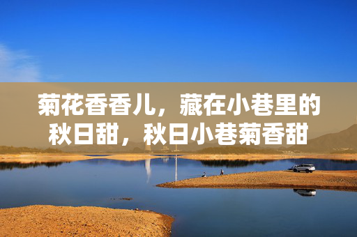 菊花香香儿,藏在小巷里的秋日甜,秋日小巷菊香甜 菊花香香儿,藏在小巷里的秋日甜,秋日小巷菊香甜