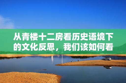从青楼十二房看历史语境下的文化反思，我们该如何看待青楼题材？青楼十二房，历史语境下的青楼题材文化反思