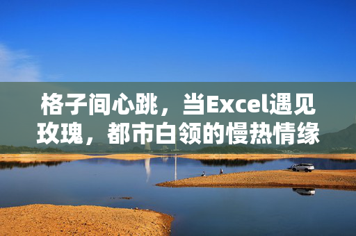 格子间心跳,当Excel遇见玫瑰,都市白领的慢热情缘 格子间心跳,当Excel遇见玫瑰,都市白领的慢热情缘