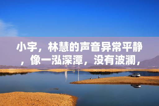 小宇，林慧的声音异常平静，像一泓深潭，没有波澜，妈妈看到了屏幕上的东西。或许，我们可以聊聊？她拉过椅子，坐在儿子身边，保持着一段恰到好处的距离，没有压迫感，只有一种温和的邀请，母亲的平静邀约