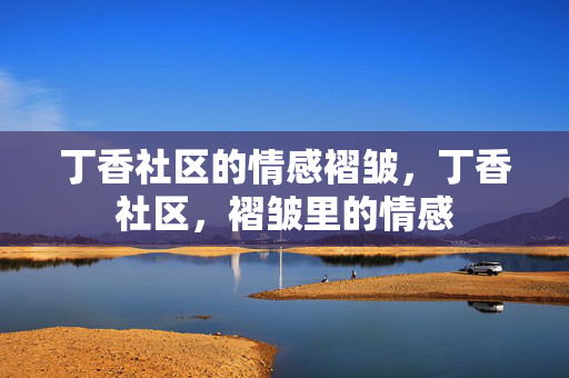 丁香社区的情感褶皱,丁香社区,褶皱里的情感 丁香社区的情感褶皱,丁香社区,褶皱里的情感