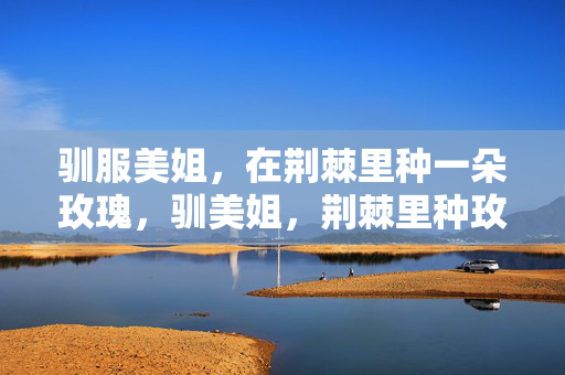 驯服美姐,在荆棘里种一朵玫瑰,驯美姐,荆棘里种玫瑰 驯服美姐,在荆棘里种一朵玫瑰,驯美姐,荆棘里种玫瑰