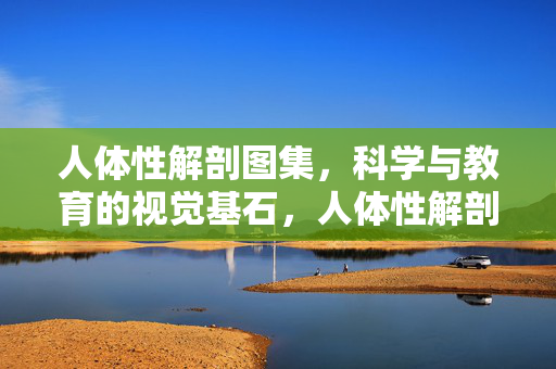 人体性解剖图集，科学与教育的视觉基石，人体性解剖图集，科学与教育的视觉基石