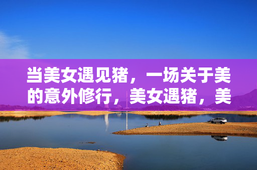 当美女遇见猪,一场关于美的意外修行,美女遇猪,美的意外修行 当美女遇见猪,一场关于美的意外修行,美女遇猪,美的意外修行