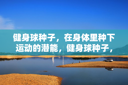 健身球种子，在身体里种下运动的潜能，健身球种子，种下身体的运动潜能