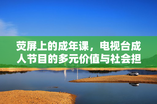 荧屏上的成年课,电视台成人节目的多元价值与社会担当,荧屏成年课,电视台成人节目的多元价值与社会担当 荧屏上的成年课,电视台成人节目的多元价值与社会担当,荧屏成年课,电视台成人节目的多元价值与社会担当