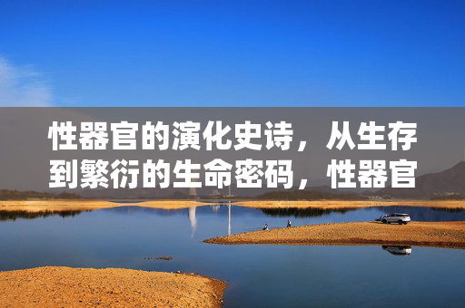 性器官的演化史诗,从生存到繁衍的生命密码,性器官演化,生存与繁衍的生命密码 性器官的演化史诗,从生存到繁衍的生命密码,性器官演化,生存与繁衍的生命密码