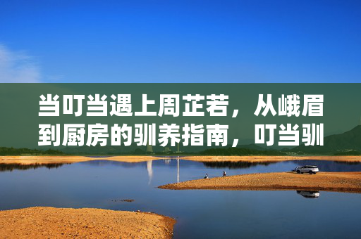 当叮当遇上周芷若,从峨眉到厨房的驯养指南,叮当驯养周芷若,峨眉女王的厨房指南 当叮当遇上周芷若,从峨眉到厨房的驯养指南,叮当驯养周芷若,峨眉女王的厨房指南