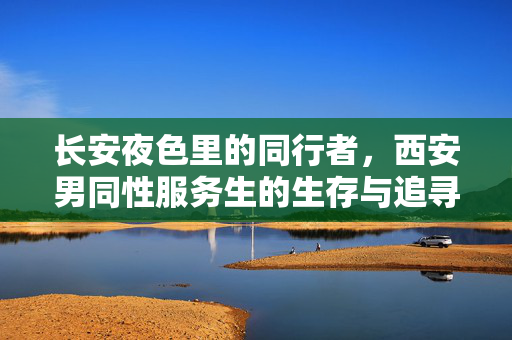 长安夜色里的同行者,西安男同性服务生的生存与追寻,长安夜色,西安男同性服务生的生存与追寻 长安夜色里的同行者,西安男同性服务生的生存与追寻,长安夜色,西安男同性服务生的生存与追寻