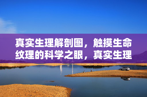 真实生理解剖图,触摸生命纹理的科学之眼,真实生理解剖图,以科学之眼触摸生命纹理 真实生理解剖图,触摸生命纹理的科学之眼,真实生理解剖图,以科学之眼触摸生命纹理