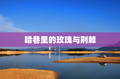 暗巷里的玫瑰与荆棘