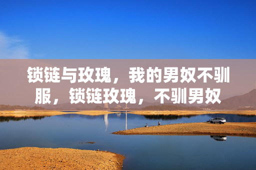 锁链与玫瑰,我的男奴不驯服,锁链玫瑰,不驯男奴 锁链与玫瑰,我的男奴不驯服,锁链玫瑰,不驯男奴