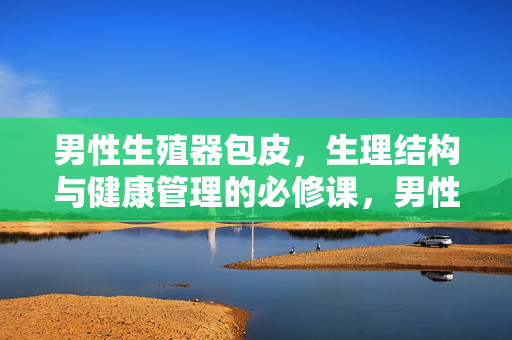 男性生殖器包皮,生理结构与健康管理的必修课,男性包皮生理结构与健康管理必修课 男性生殖器包皮,生理结构与健康管理的必修课,男性包皮生理结构与健康管理必修课
