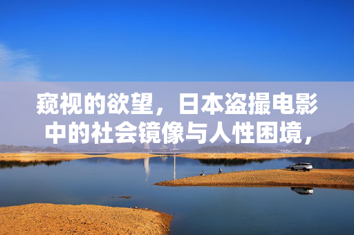 窥视的欲望,日本盗撮电影中的社会镜像与人性困境,盗摄之欲,日本电影的社会镜像与人性困境 窥视的欲望,日本盗撮电影中的社会镜像与人性困境,盗摄之欲,日本电影的社会镜像与人性困境