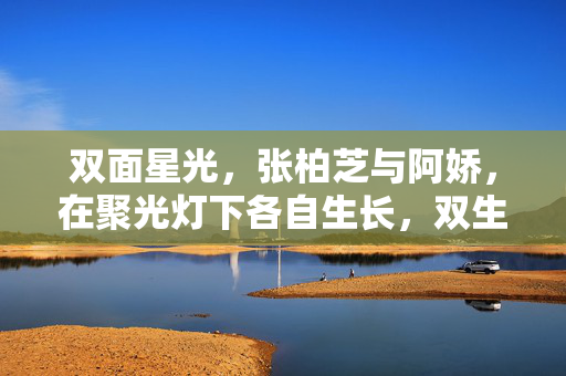 双面星光,张柏芝与阿娇,在聚光灯下各自生长,双生星光,各自璀璨 双面星光,张柏芝与阿娇,在聚光灯下各自生长,双生星光,各自璀璨