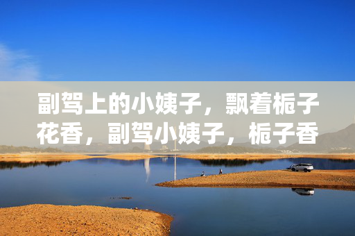 副驾上的小姨子,飘着栀子花香,副驾小姨子,栀子香萦绕 副驾上的小姨子,飘着栀子花香,副驾小姨子,栀子香萦绕