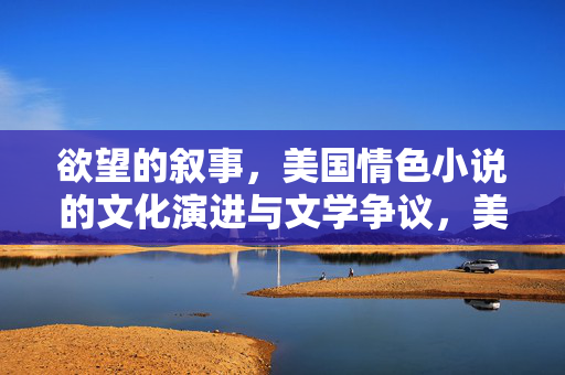 欲望的叙事,美国情色小说的文化演进与文学争议,美国情色小说,欲望叙事的文化演进与文学争议 欲望的叙事,美国情色小说的文化演进与文学争议,美国情色小说,欲望叙事的文化演进与文学争议