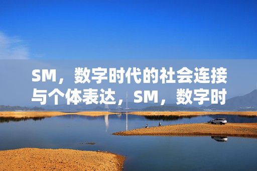 SM,数字时代的社会连接与个体表达,SM,数字时代的社会连接与个体表达 SM,数字时代的社会连接与个体表达,SM,数字时代的社会连接与个体表达